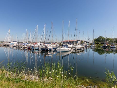 Shrub, Residential Area, Home, Estate, Garden, Lawn, Landscaping, Yard, Mansion, Villa