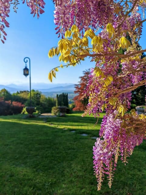 4463af55-092f-4450-bc45-569278af2231