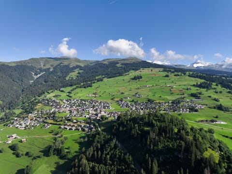 Grassland, Bird'S-Eye View, Landscape, Aerial Photography, Plain, Field, Meadow, Hill Station, Pasture, Prairie