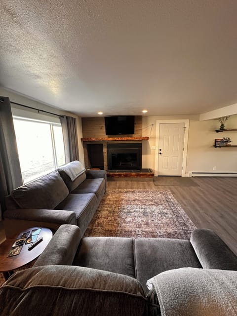 The living room with a Roku TV. There is a fireplace, that is not for use.