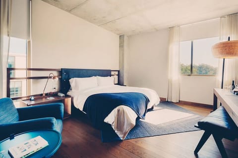 Unwind in a sunlit king bed with calming modern comfort.