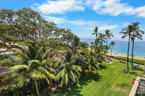 Beachfront property with lush tropical landscaping, pristine sandy beach access, and panoramic ocean views framed by swaying palm trees and vibrant greenery.