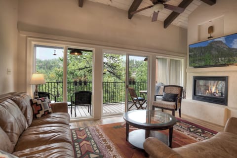 Living Room with Views, Large Deck, Fireplace, Smart TV, High Ce