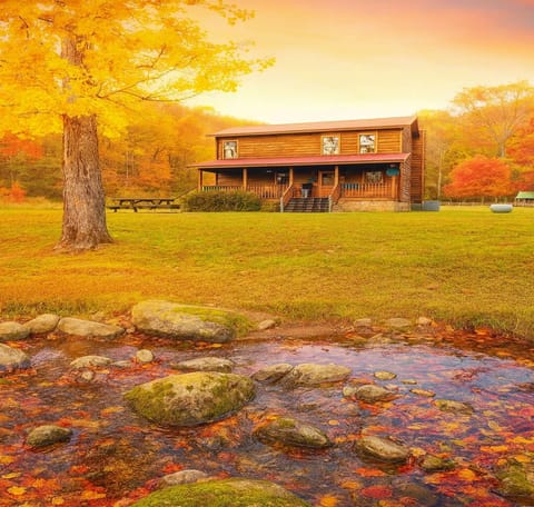 Step into a southern autumn where fog drifts through golden leaves and cozy mornings make every moment feel like a story waiting to be written.
(This is AI GENERATED, this is just a glimpse of what your stay here feels like in the fall)