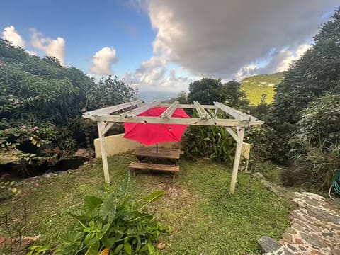 Lower terrace pergola 