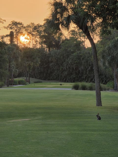 Sunset over 16 tees
