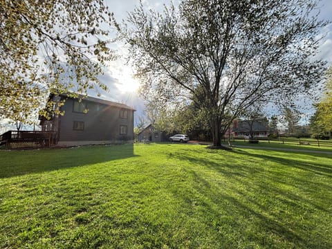 Front yard and view from road