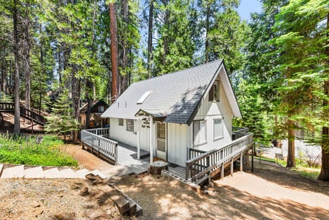 Cabin is surrounded by tall pine trees.