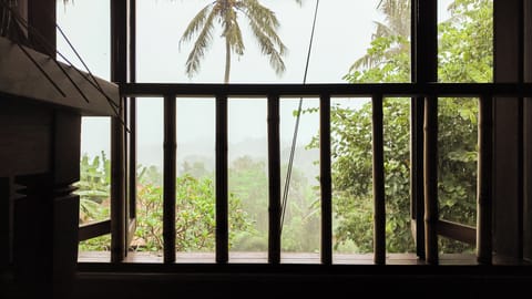 Natural view during rain from stadyroom