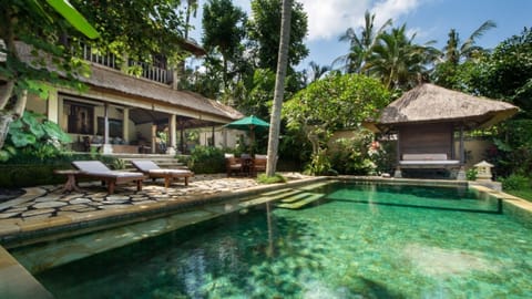 Swimming pool and terrace