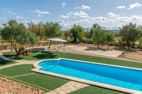 Holiday Home Swimming Pool