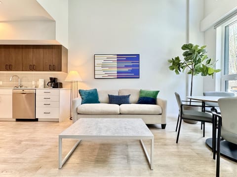 Living Room - Sofa Bed (pull out bed)