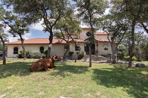 Front of the home and Wyatt the longhorn :)
