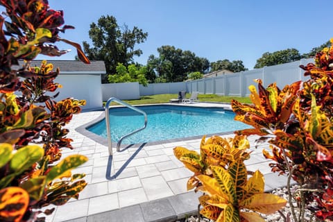 New beautiful backyard! Enjoy Florida's sun, BBQ or enjoy the fire pit.