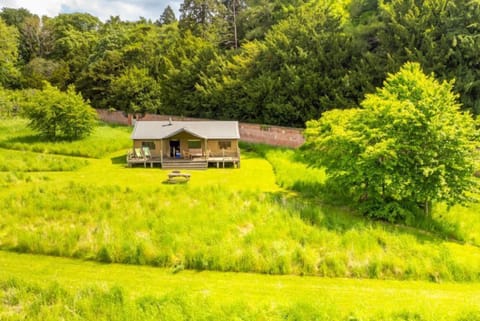 Cygnet - Exton Park at Lantern and Larks