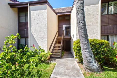 NAP-C31 Tucked among palms and petals, your vacation HQ awaits?bright, breezy, and ready for adventure