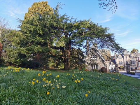 Some of the many beautiful stone buildings