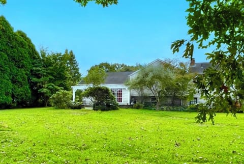 Spacious backyard next to woodlands