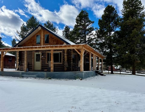 Gorgeous winter-y day