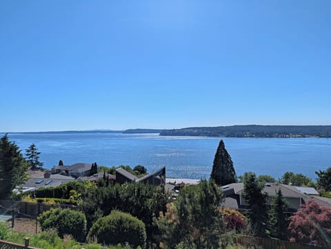 Watch birds, whales (if you are lucky), deer