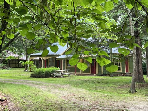 Charming cottage in peaceful wood area