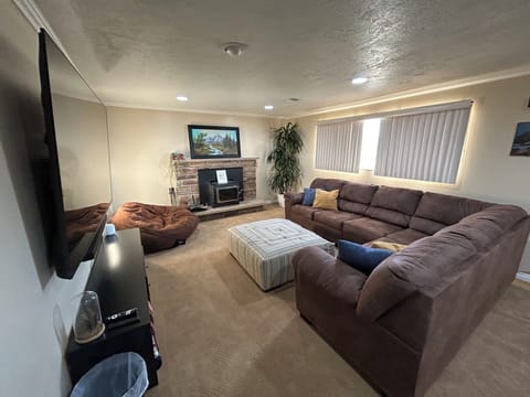 Lower level TV room