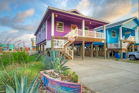 Welcome to Purple Parrot! 