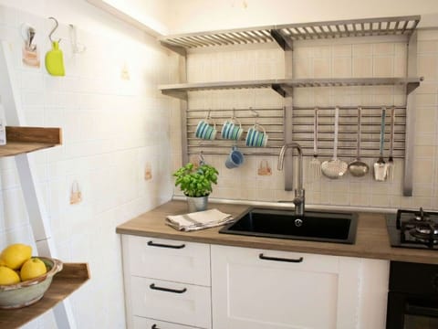 Kitchen, Countertop, Furniture, Kitchen Appliance, Cabinetry, Interior Design, Shelf, Shelving, Home