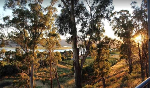 Tamar Ridge Apartments - The Lookout 9