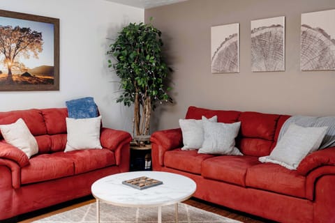Living Room couches