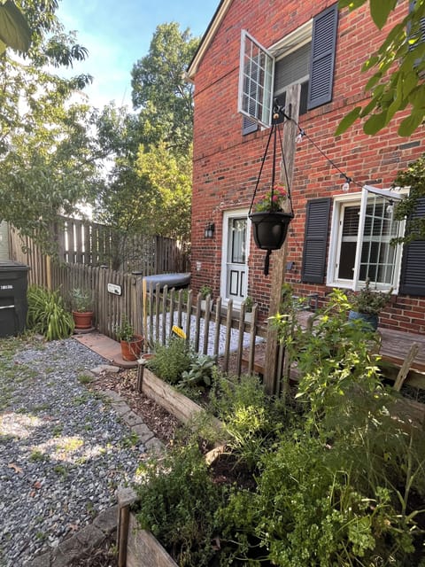 Welcome to our sunny garden home!
(All photos taken by us, untouched by AI :) )