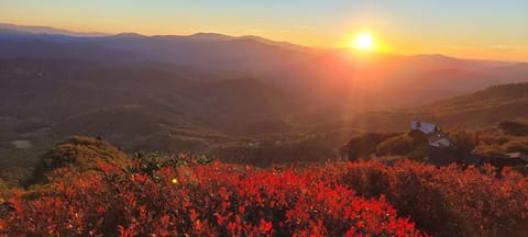 Breathtaking mountain view at golden hour, with fiery foliage in the foreground and a glowing sun setting over the layered peaks of the Blue Ridge.