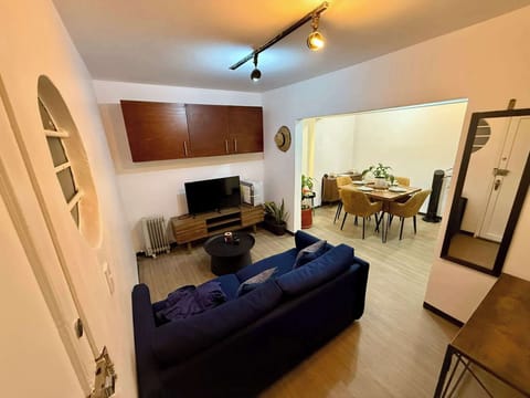 Living room (Sofá cama, mesa de centro negra obscura, mueble de madera oara TV, T.V, calentador, planta decorativa, colchas, mueble de madera, luces centrales, mesa de madera, espejo vertical)