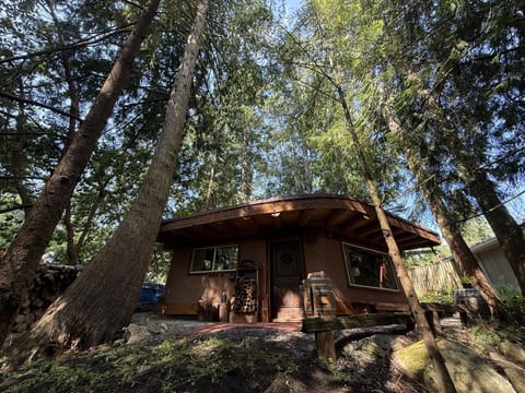 Front of Wobbly Hobbit