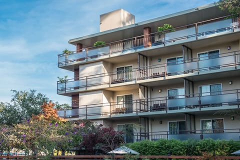 Take in the modern façade with balconies overlooking lush grounds.
