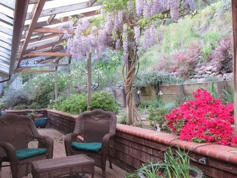 The deck adjoining your suite.