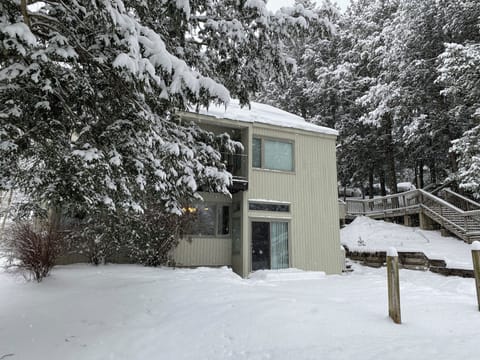 We have a ground level unit. Paths are regularly shoveled.