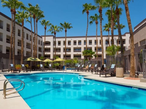 Lounge poolside under clear skies and swaying palms.