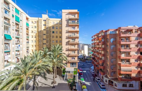 Bird's eye view,City view,Street view