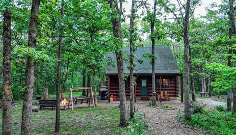 Front path to cabin and firepit