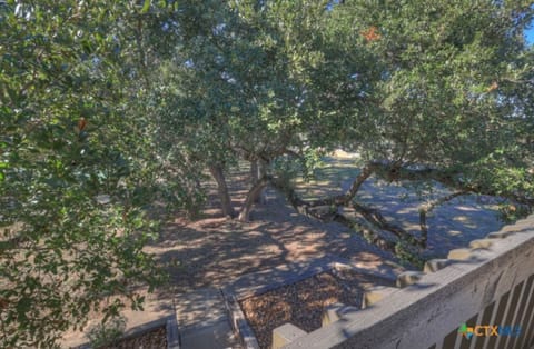 View From the balcony