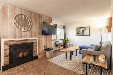 Living area with Smart TV and sofa sleeper