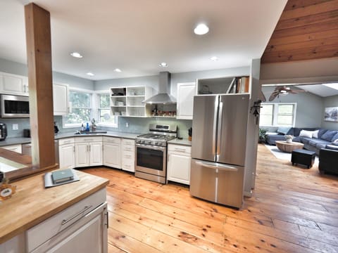 Fridge, freezer, stove, oven, spices