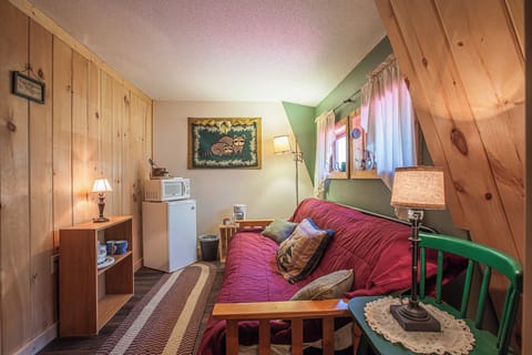 Bedroom 3 (Upper Level)- Full Size Futon, Closet