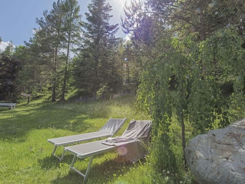 Outdoor Furniture, Furniture, Plant Community, Groundcover, Forest, Garden, Sunlounger, Chair, Larch, Shade