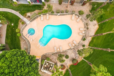 Aerial view of resort-style pool and spa surrounded by palm trees
