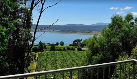 Dreaming of staying in the middle of a vineyard - well here it is!