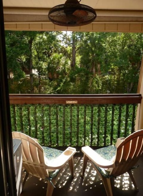 Where mornings start with sunshine and palm views!