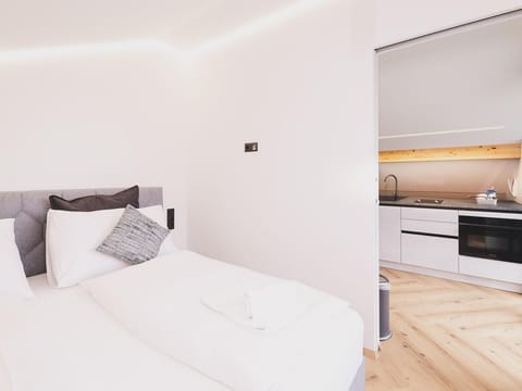 Appartements Prielau - Penthouse - Appartements Prielau by we rent Apartment in Zell am See