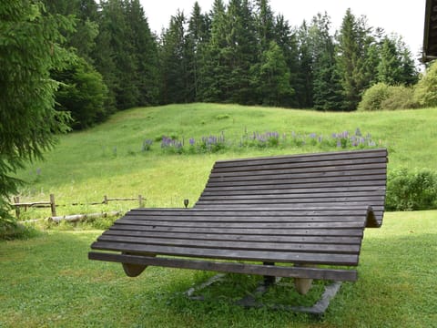 Outdoor Bench, Wood, Outdoor Furniture, Bench, Furniture, Groundcover, Lawn, Garden